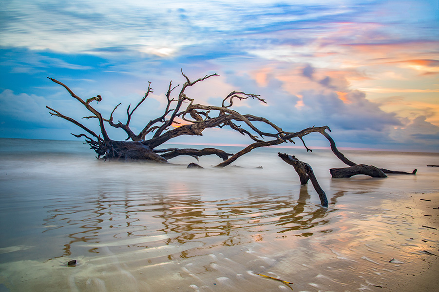 Jekyll Island