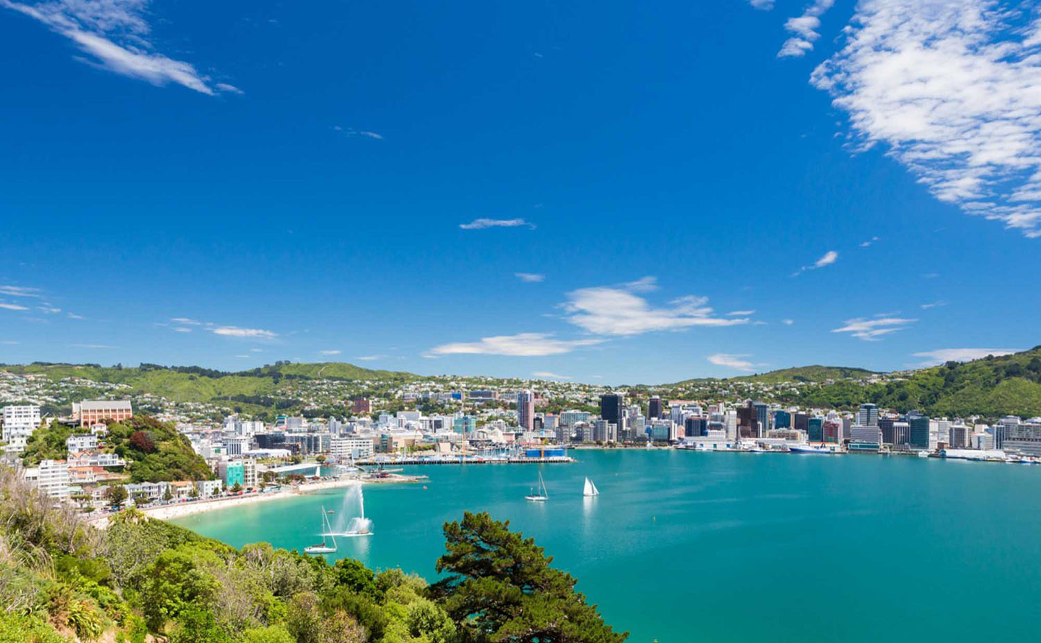 Wellington private jet charter